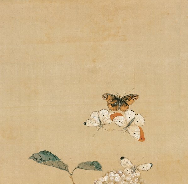 清_居廉_花卉四屏之三纸本_(3531×13847 – 351dpi)(图2)