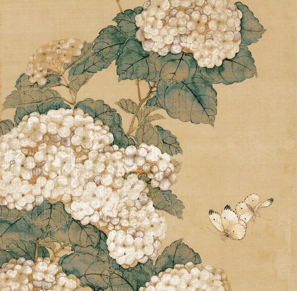 清_居廉_花卉四屏之三纸本_(3531×13847 – 351dpi)(图3)