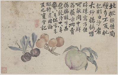 清_李鱓_花鸟十二开_二_纸本_7_(5832×3720 – 360dpi)(图1)