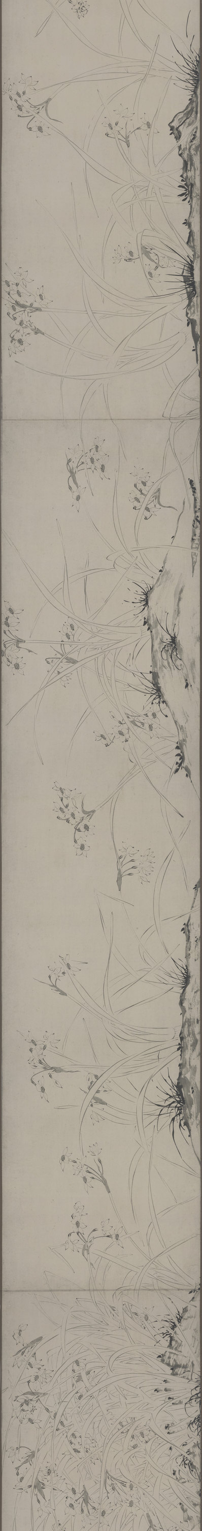 明_陆治_仿赵孟坚水仙图_图卷_2_(38932×5155 – 360dpi)(图1)