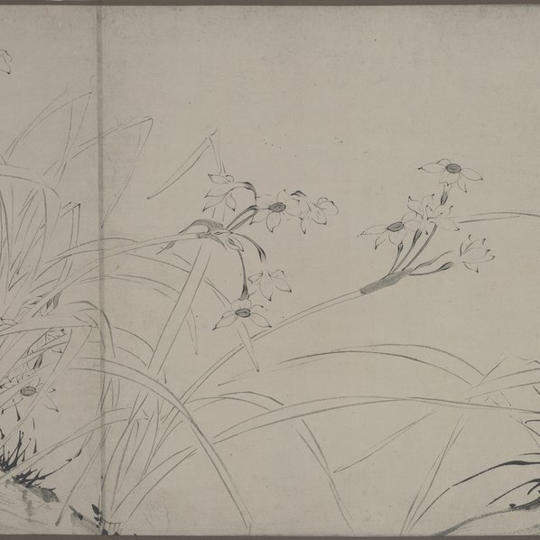 明_陆治_仿赵孟坚水仙图_图卷_2_(38932×5155 – 360dpi)(图3)