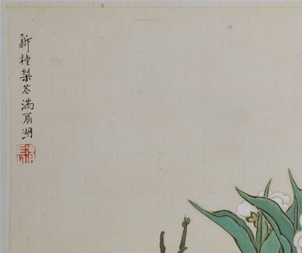 清_任熊_姚燮诗意图_册_第三开_新种梨花满扇_(4433×3717 – 300dpi)(图2)