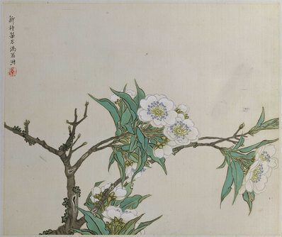 清_任熊_姚燮诗意图_册_第三开_新种梨花满扇_(4433×3717 – 300dpi)(图1)