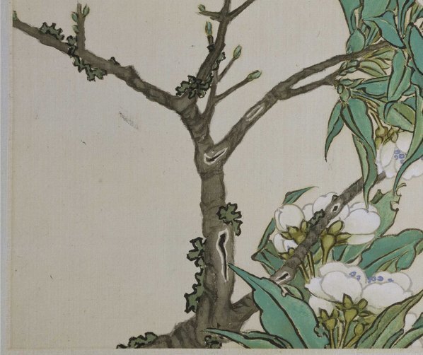 清_任熊_姚燮诗意图_册_第三开_新种梨花满扇_(4433×3717 – 300dpi)(图4)