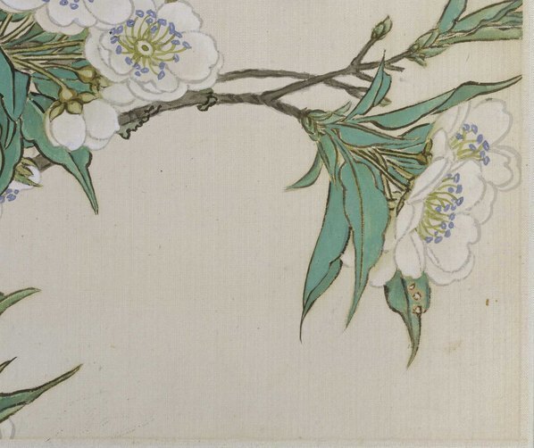 清_任熊_姚燮诗意图_册_第三开_新种梨花满扇_(4433×3717 – 300dpi)(图5)