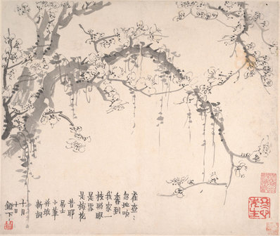 清_金农_梅花图册页大都会_4_(5750×4850 – 600dpi)(图1)