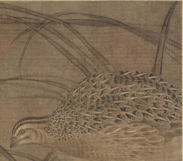 宋_佚名_鹌鹑图绢本_(6018×5294 – 300dpi)(图3)