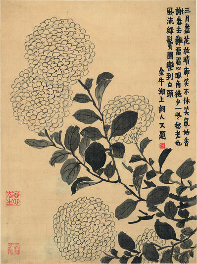 清_金农_花卉册_111_(3595×4812 – 300dpi)(图1)