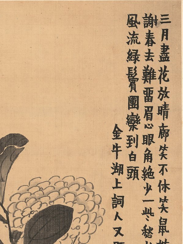 清_金农_花卉册_111_(3595×4812 – 300dpi)(图3)