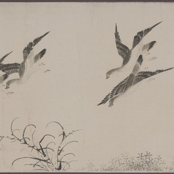 明_王守谦_千雁图_全卷二版_(126156×4581 – 360dpi)(图4)