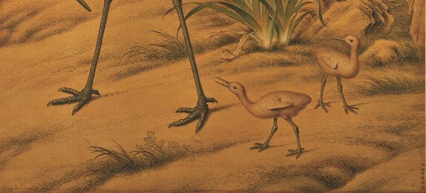 清_郎世宁_花卉双鹤图轴绢本_(11057×20079 – 300dpi)(图5)