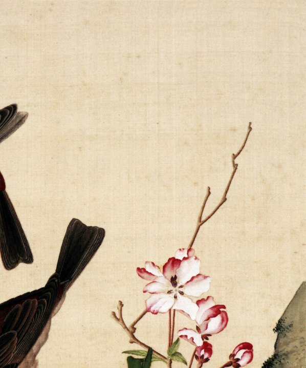 清_郎世宁_仙萼长春图最佳版_海棠玉兰图_(6252×7496 – 405dpi)(图3)
