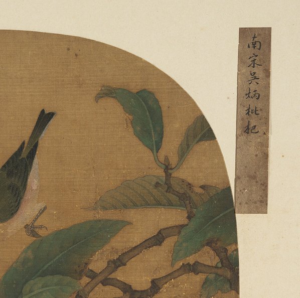 明_佚名_传吴炳_枇杷绣眼图团扇页绢本_(4100×4076 – 300dpi)(图3)