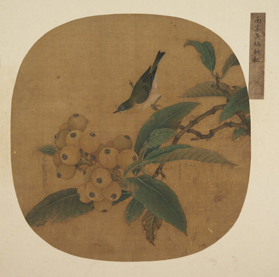 明_佚名_传吴炳_枇杷绣眼图团扇页绢本_(4100×4076 – 300dpi)(图1)