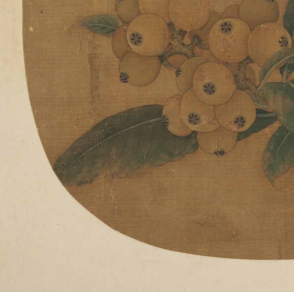 明_佚名_传吴炳_枇杷绣眼图团扇页绢本_(4100×4076 – 300dpi)(图4)