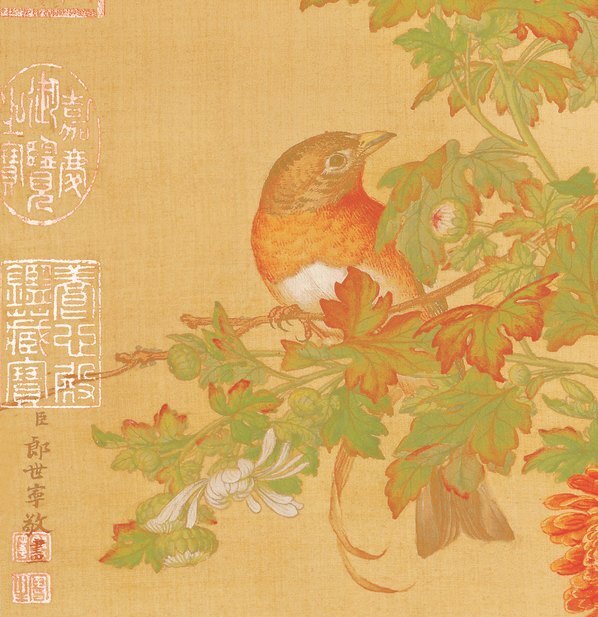 清_郎世宁_花鸟图册_5(图4)