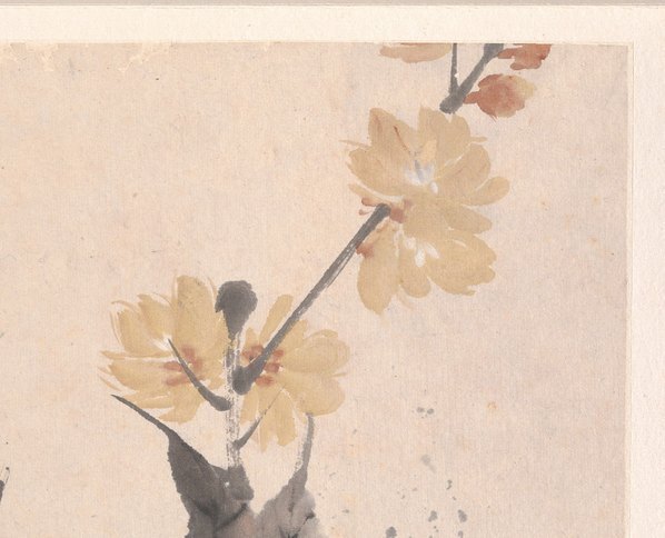 清_任颐_花鸟蔬果册页_八开_5_(4500×3642 – 300dpi)(图3)