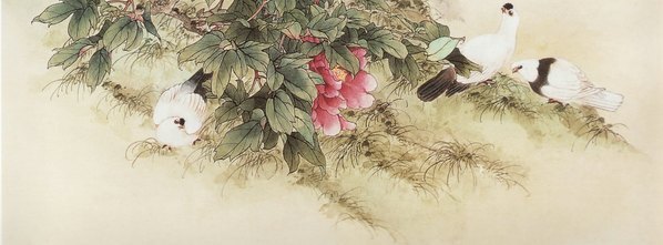 近代_牡丹花_(5727×8424 – 72dpi)(图5)