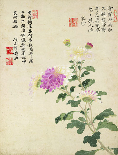 明_项圣漠_花卉_9_(3792×4984 – 350dpi)(图1)