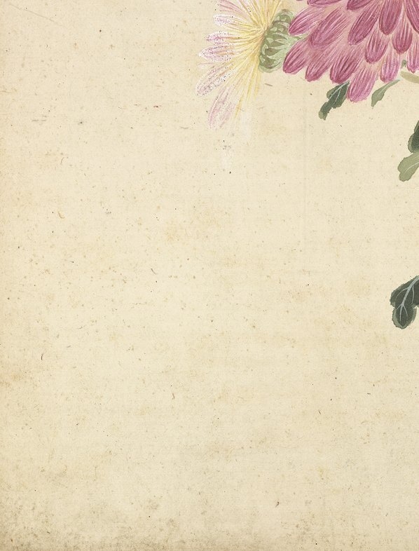 明_项圣漠_花卉_9_(3792×4984 – 350dpi)(图4)