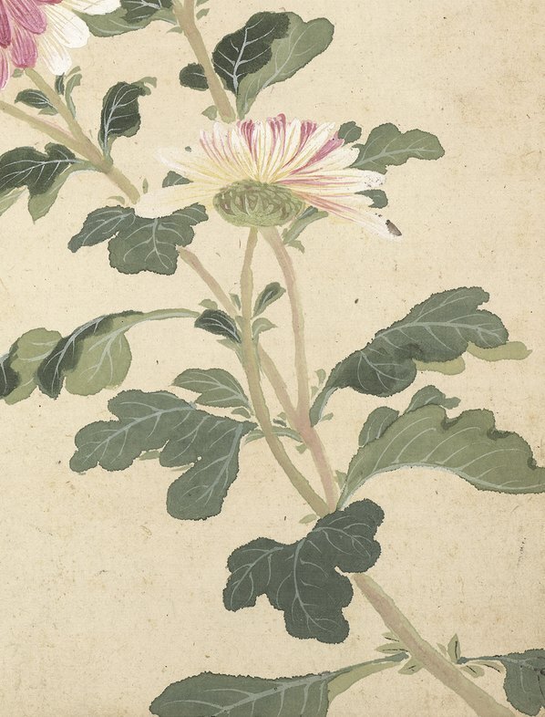 明_项圣漠_花卉_9_(3792×4984 – 350dpi)(图5)