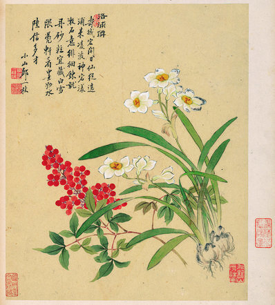 清_邹一桂_花卉八开_天竺水仙_纸本_(3379×3751 – 300dpi)(图1)