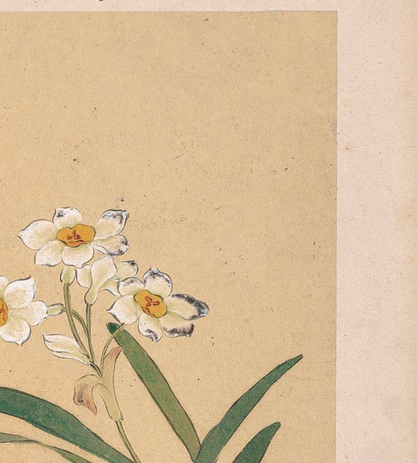 清_邹一桂_花卉八开_天竺水仙_纸本_(3379×3751 – 300dpi)(图3)