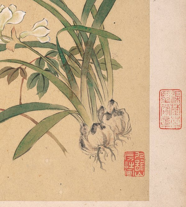 清_邹一桂_花卉八开_天竺水仙_纸本_(3379×3751 – 300dpi)(图5)