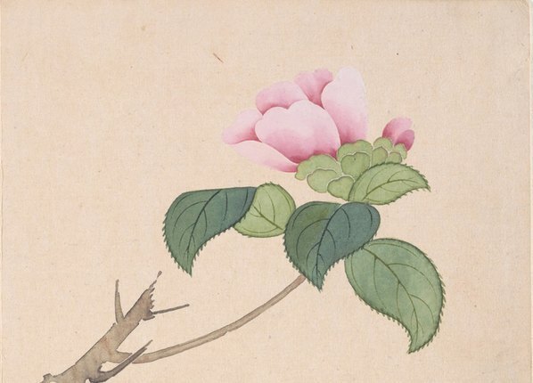 清_钱维城_山水花鸟册_开_大都会_3_(4811×3464 – 400dpi)(图3)