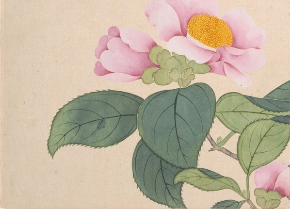 清_钱维城_山水花鸟册_开_大都会_3_(4811×3464 – 400dpi)(图4)