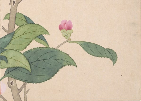 清_钱维城_山水花鸟册_开_大都会_3_(4811×3464 – 400dpi)(图5)