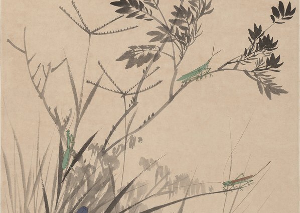 清_于非闇_新秋晴窗图轴纸本_(4330×12267 – 320dpi)(图4)
