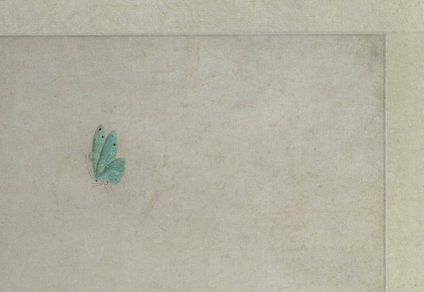明_文俶_花卉图册页_北京故宫张_第六_(5243×3616 – 300dpi)(图3)
