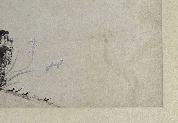 明_文俶_花卉图册页_北京故宫张_第六_(5243×3616 – 300dpi)(图5)