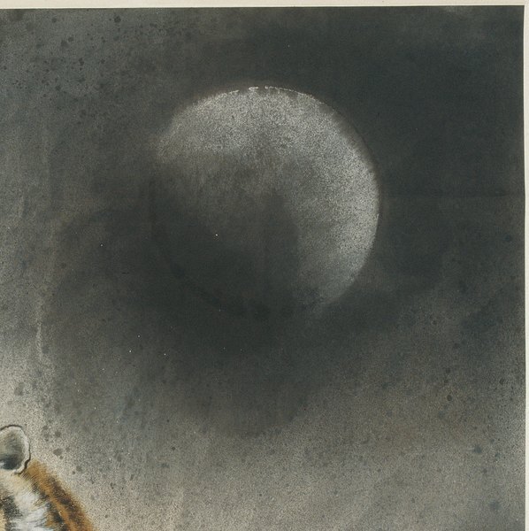 近代_虎_自然之_(6944×6965 – 72dpi)(图3)
