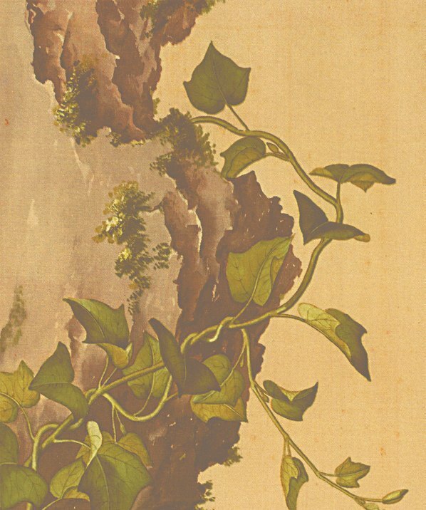 清_郎世宁_花鸟图册_27(图2)