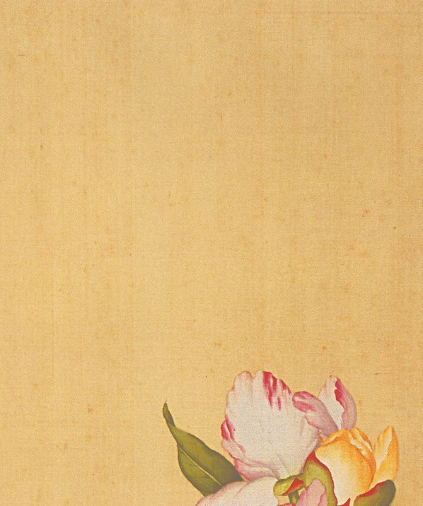 清_郎世宁_花鸟图册_27(图3)