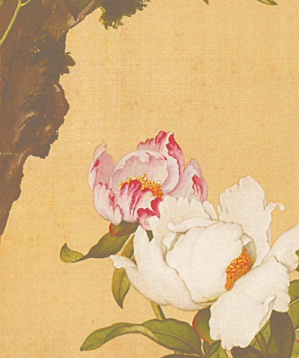 清_郎世宁_花鸟图册_27(图4)