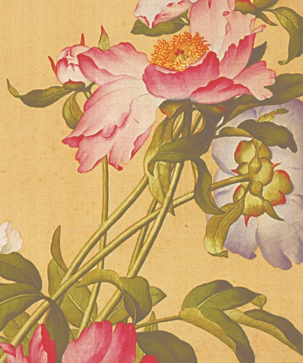 清_郎世宁_花鸟图册_27(图5)