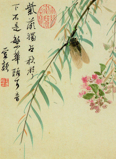 清_王武_花卉册_1_(2559×3494 – 315dpi)(图1)