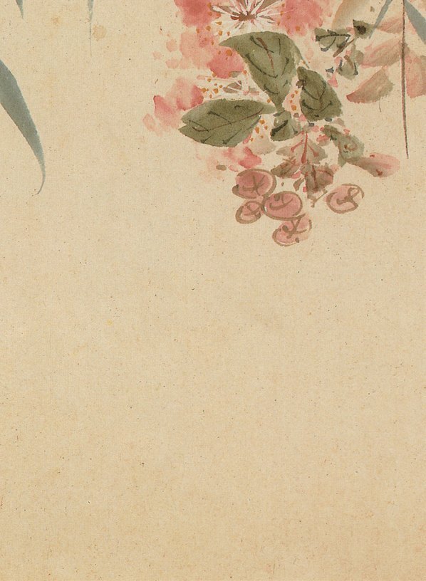 清_王武_花卉册_1_(2559×3494 – 315dpi)(图5)