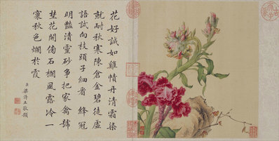 清_郎世宁_花鸟图册_35_(5200×2624 – 300dpi)(图1)