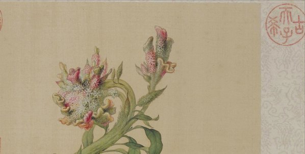 清_郎世宁_花鸟图册_35_(5200×2624 – 300dpi)(图3)