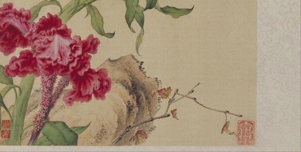 清_郎世宁_花鸟图册_35_(5200×2624 – 300dpi)(图5)
