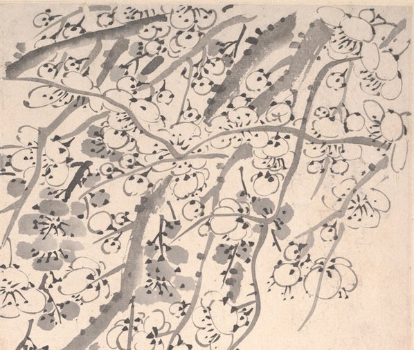清_金农_梅花图册页大都会_1_(5750×4868 – 600dpi)(图3)