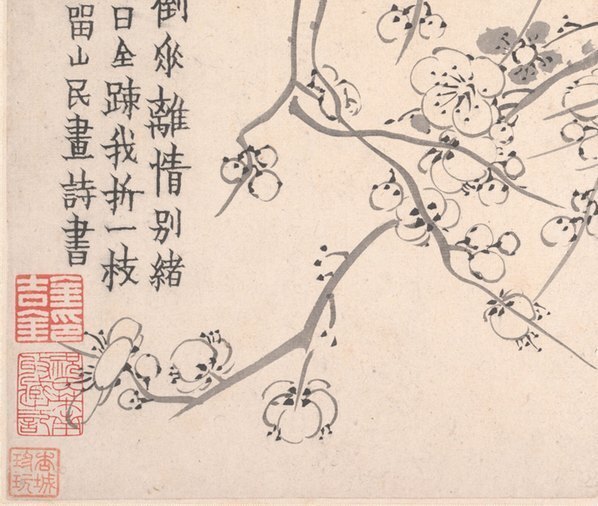 清_金农_梅花图册页大都会_1_(5750×4868 – 600dpi)(图4)