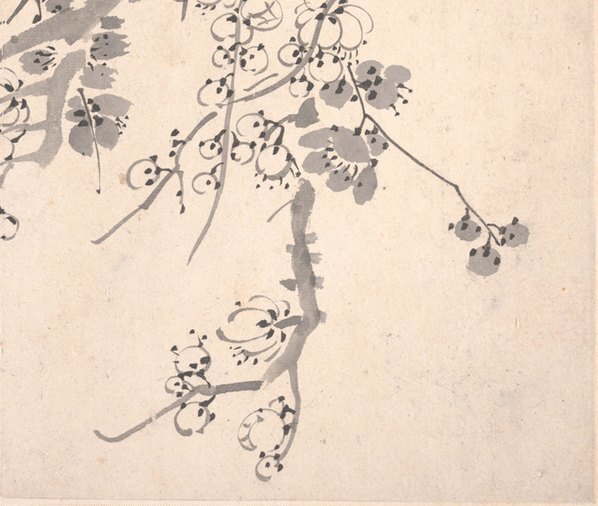清_金农_梅花图册页大都会_1_(5750×4868 – 600dpi)(图5)