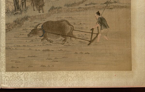 清_焦秉贞_耕织图册_19_(4743×3024 – 300dpi)(图5)