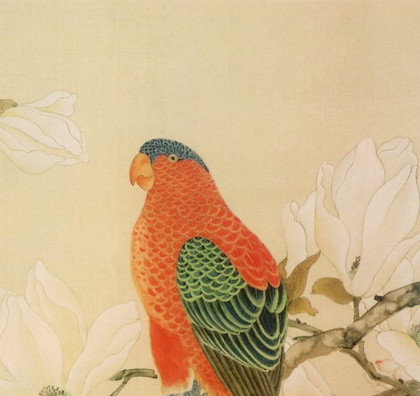 近代_陈之佛_鹦鹉_(5118×4823 – 72dpi)(图3)