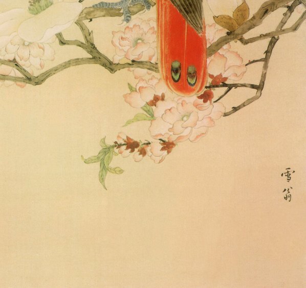 近代_陈之佛_鹦鹉_(5118×4823 – 72dpi)(图5)